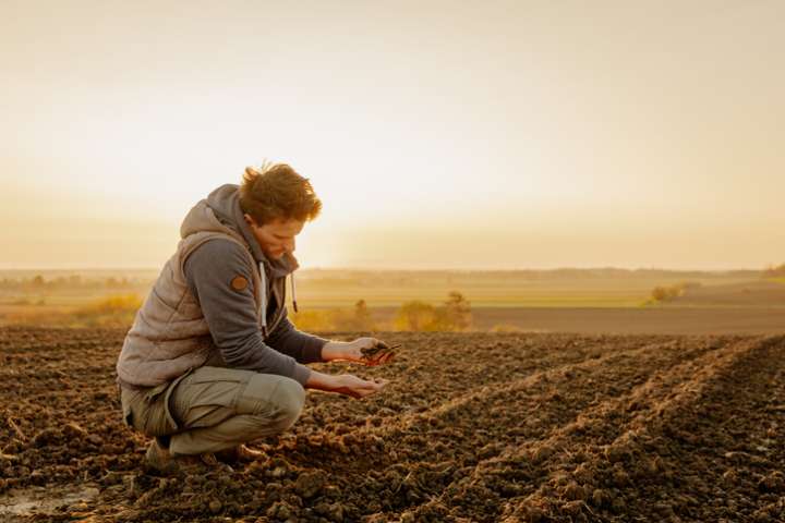 Du compost de « précision » pour le climat