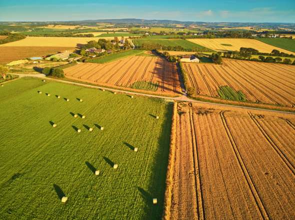 Terres agricoles et bioplastiques