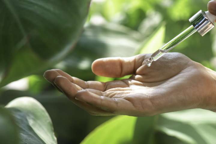 Les essences aromatiques pour régénérer la peau