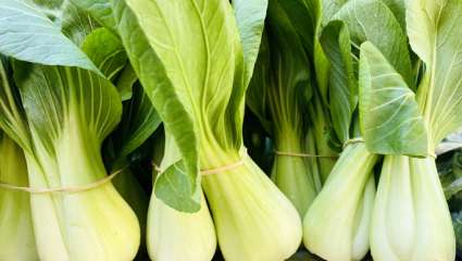 Chou kale, chou bok choy et chou-rave