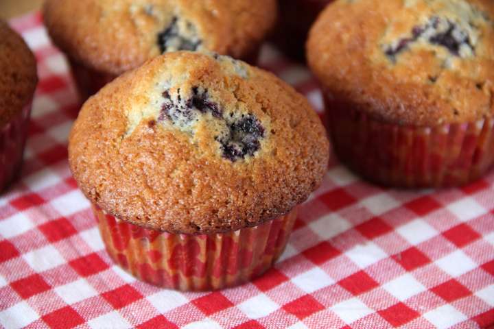 Muffins aux myrtilles