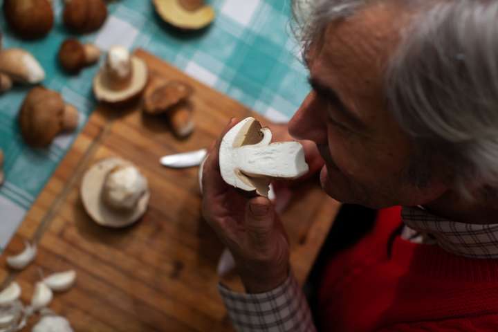 Consommer des champignons pour lutter contre la dépression