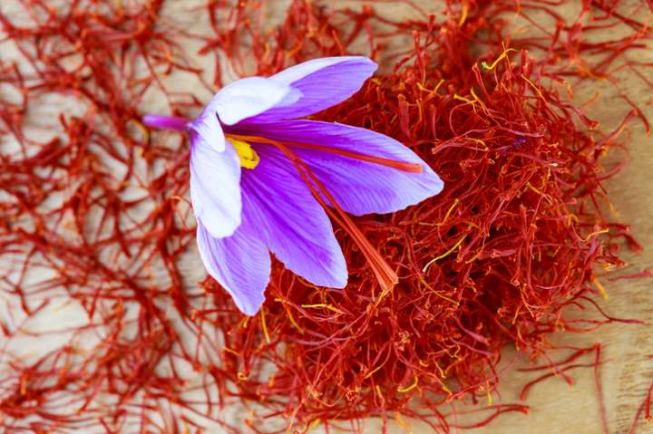 Safran (Crocus sativus)