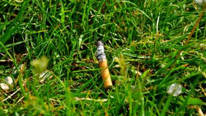 Interdit de fumer en forêt