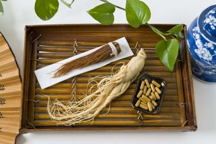 Ginseng panax