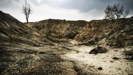 Les maladies cardiaques liées à la pollution des sols ?