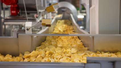 Chips industrielles