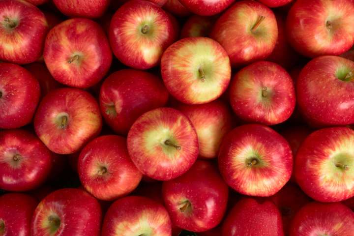 La pomme est un alicament, elle recèle de vertus thérapeuthiques.