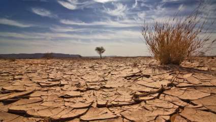 Le réchauffement climatique aggrave les affections dermatologiques