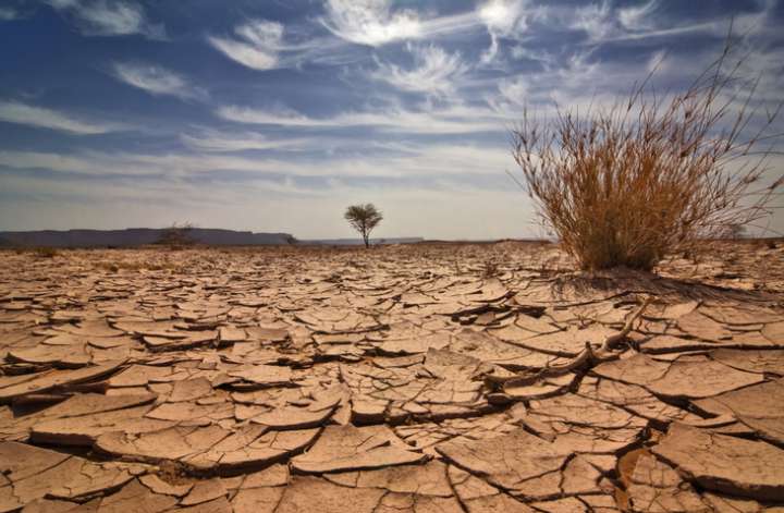 Le réchauffement climatique aggrave les affections dermatologiques