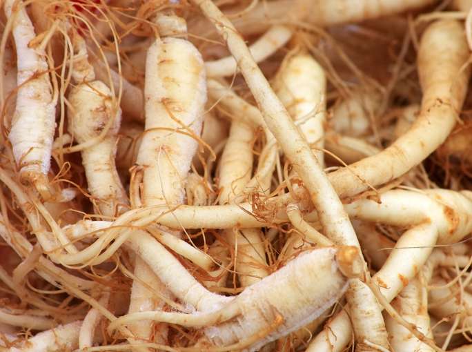 Du ginseng américain pour doper son système immunitaire ?