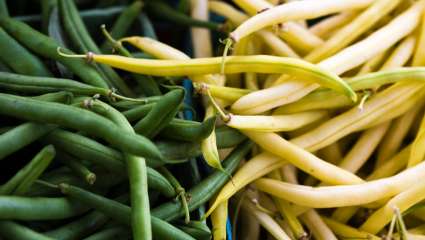 Avec les haricots, faites le plein de légumes verts !