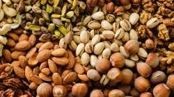 Amandes et pistaches : reines des graines !