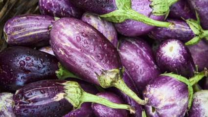 Aubergine