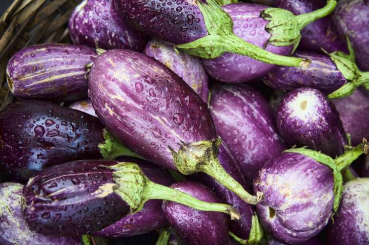 Aubergine