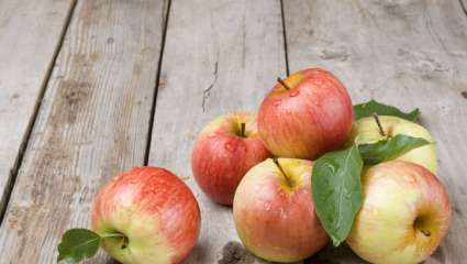 Les pommes modernes, moins riches en polyphénols antioxydants