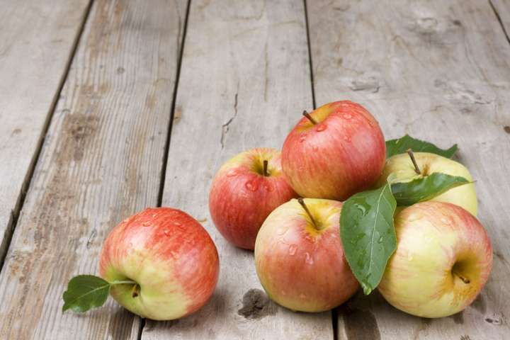 Les pommes modernes, moins riches en polyphénols antioxydants