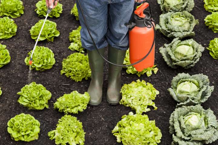 Pesticides : un impact avéré sur la biodiversité