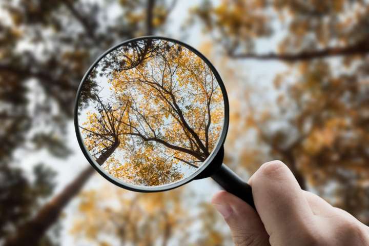 Une promenade dans la nature pour être plus focus