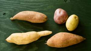Patates douces et pommes de terre