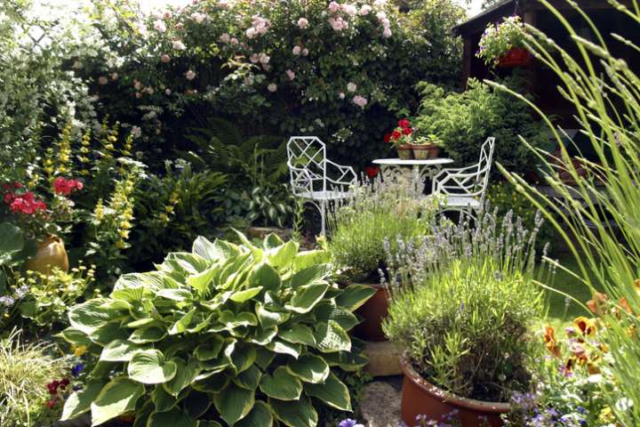 Même un petit jardin est un véritable réservoir à biodiversité