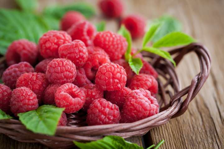 Mûres et framboises pour rougir de plaisir !