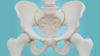  Les fractures de la hanche