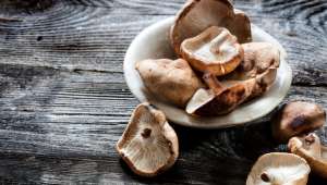 champignon shiitake