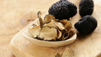 Truffe noire (Tuber melanosporum)