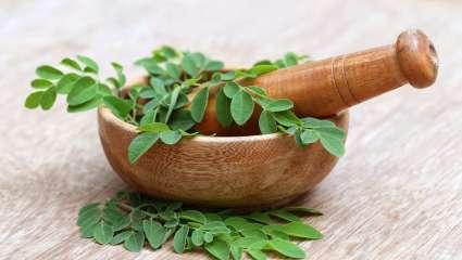 Les bienfaits santé du moringa (moringa oleifera)