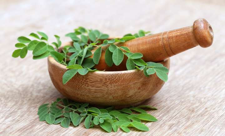 Les bienfaits santé du moringa (moringa oleifera)