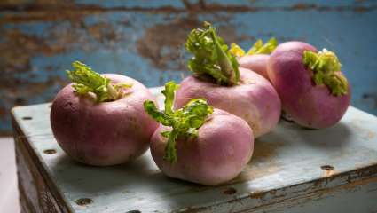 Cuisiner les navets et les rutabagas