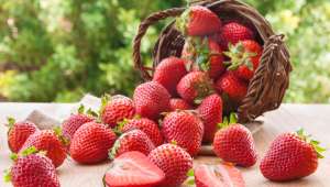 fraises