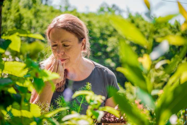 Le temps des salades  sauvages