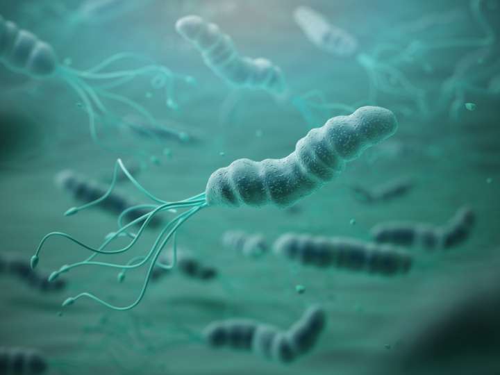 Helicobacter pylori, comment s'en débarrasser