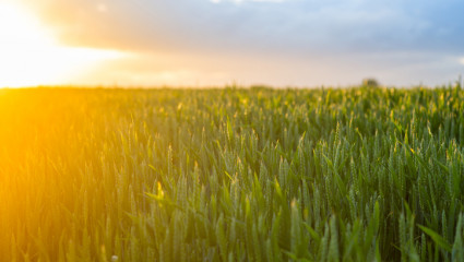 Agriculture bio