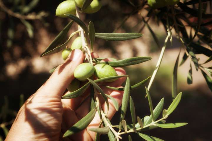 Hypertension : faire baisser la pression naturellement