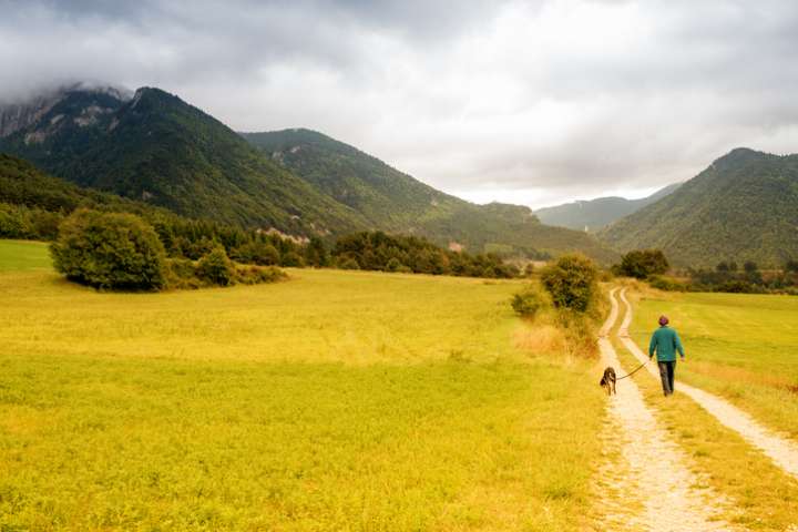 Lus-la-Croix-Haute