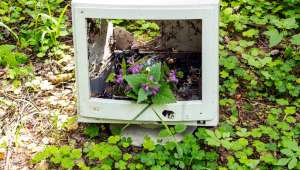 Ordinateur abandonné dans la nature