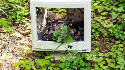 Ordinateur abandonné dans la nature