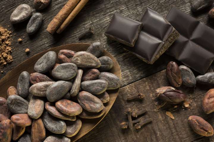 Riches en nutriments précieux, anti-oxydantes, les fèves de cacao sont une source de propriétés bénéfiques.
