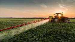 Des résidus de pesticides parasitent les plantes