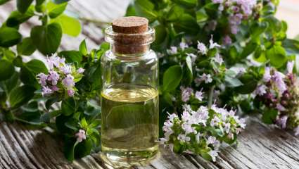 Soigner les IST (chlamydias, papillomavirus) avec les plantes