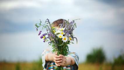 Savoir demander de l'aide avec les élixirs floraux