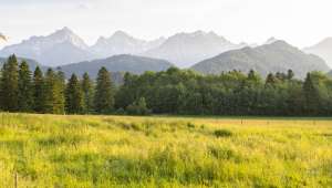 Loin des sentiers battus