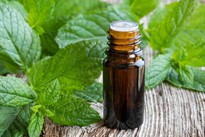 Pourquoi choisir l'huile essentielle de menthe poivrée pour vos cheveu –  Medene