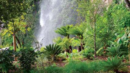 Jardin extraordinaire de Nantes