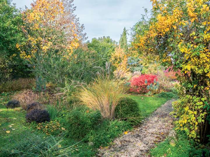 Le jardin d'Entêoulet Magie automnale