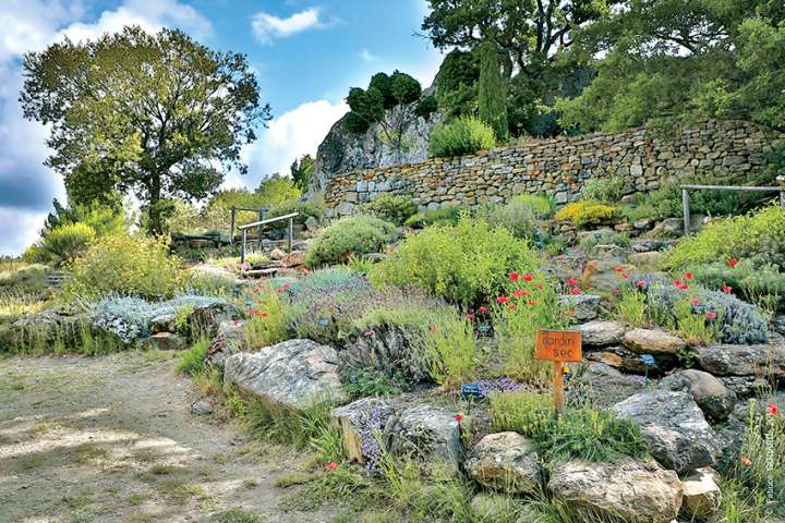 Jardin de l'abbaye de Valsaintes