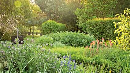 Les Jardins de Colette en Corrèze : Verdure et littérature